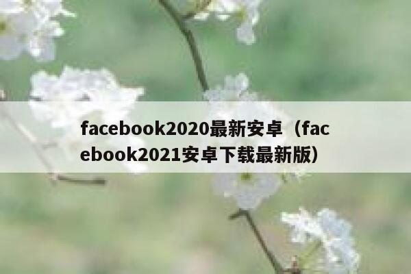 facebook2020最新安卓(facebook2021安卓下载最新版) 第1张 facebook2020最新安卓(facebook2021安卓下载最新版) 第1张