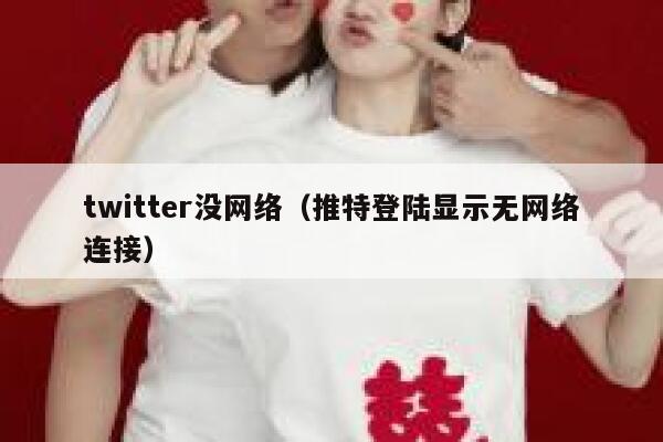 twitter没网络（推特登陆显示无网络连接） 第1张