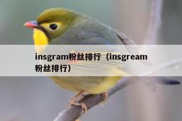 insgram粉丝排行（insgream粉丝排行） 第1张
