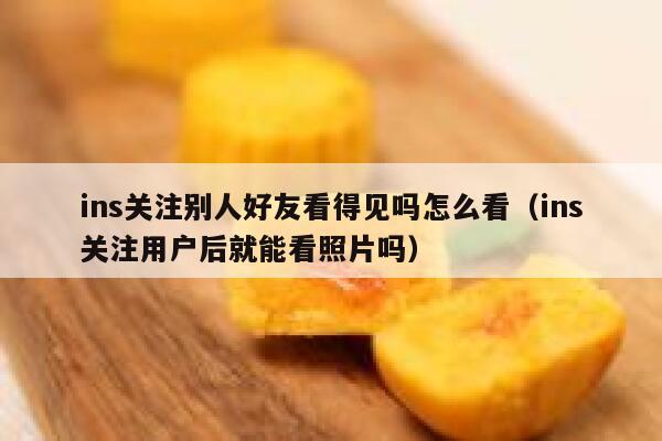 ins关注别人好友看得见吗怎么看（ins关注用户后就能看照片吗） 第1张