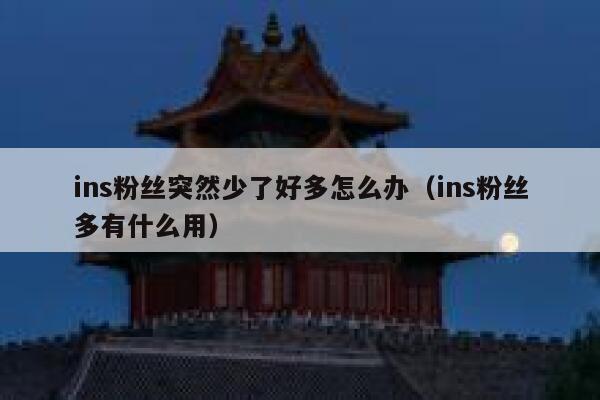 ins粉丝突然少了好多怎么办（ins粉丝多有什么用） 第1张