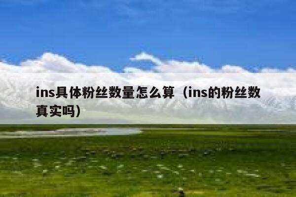 ins具体粉丝数量怎么算（ins的粉丝数真实吗） 第1张