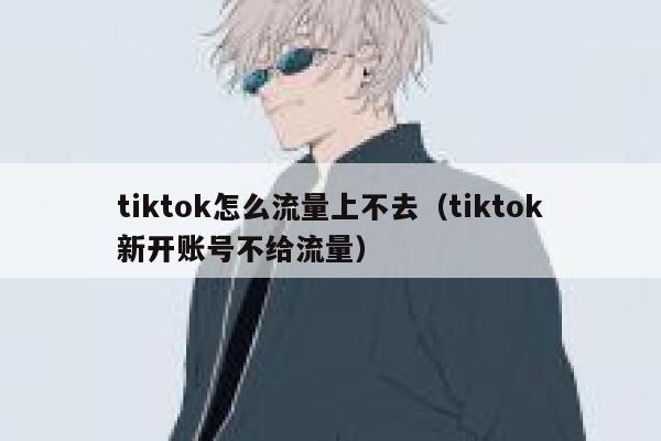 tiktok怎么流量上不去（tiktok新开账号不给流量） 第1张