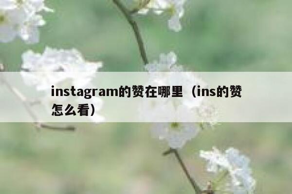 instagram的赞在哪里（ins的赞怎么看） 第1张