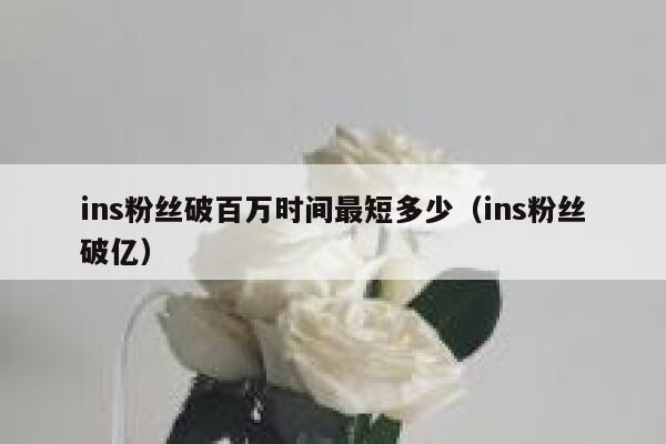 ins粉丝破百万时间最短多少（ins粉丝破亿） 第1张