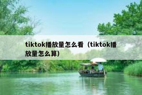 tiktok播放量怎么看（tiktok播放量怎么算） 第1张