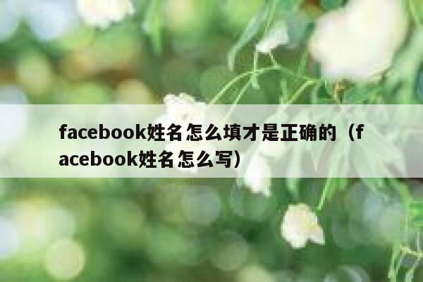 facebook姓名怎么填才是正确的（facebook姓名怎么写） 第1张