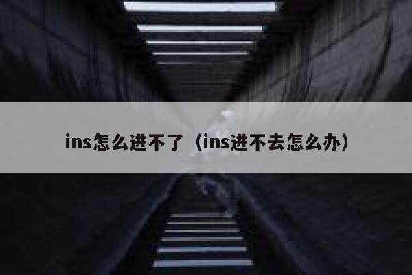 ins怎么进不了（ins进不去怎么办） 第1张