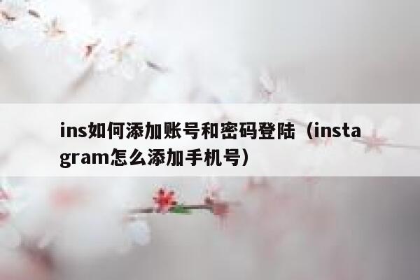 ins如何添加账号和密码登陆（instagram怎么添加手机号） 第1张