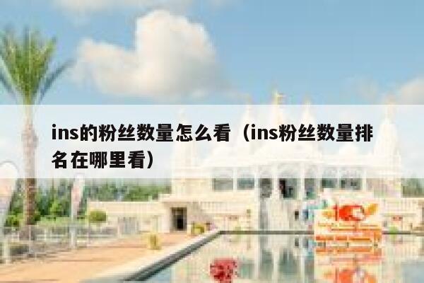 ins的粉丝数量怎么看（ins粉丝数量排名在哪里看） 第1张