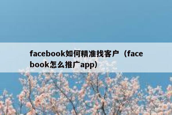 facebook如何精准找客户(facebook怎么推广app) 第1张 facebook如何精准找客户(facebook怎么推广app) 第1张