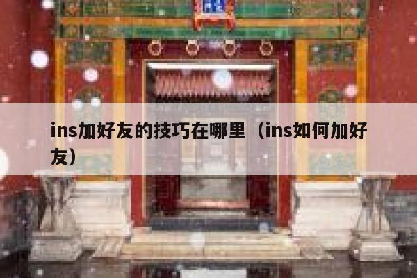 ins加好友的技巧在哪里（ins如何加好友） 第1张