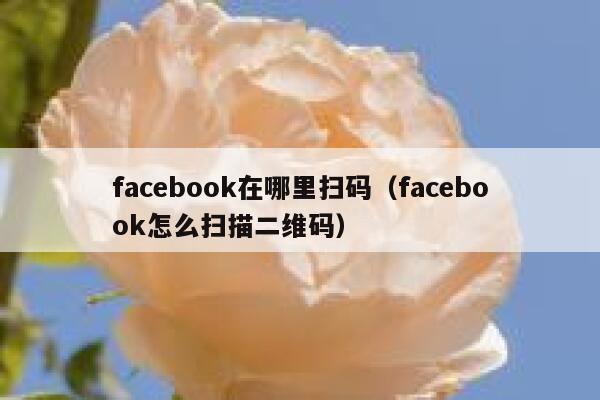 facebook在哪里扫码(facebook怎么扫描二维码) 第1张 facebook在哪里扫码(facebook怎么扫描二维码) 第1张