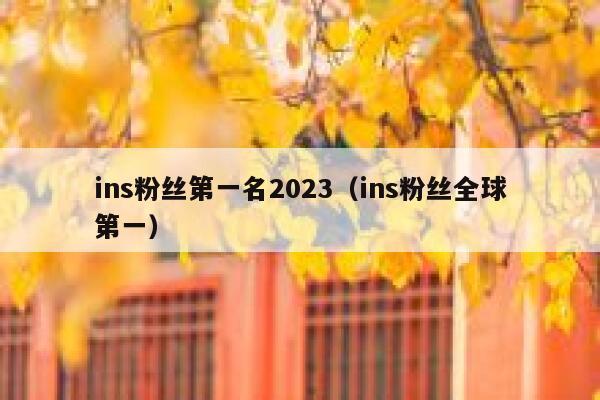 ins粉丝第一名2023(ins粉丝全球第一) 第1张 ins粉丝第一名2023(ins粉丝全球第一) 第1张