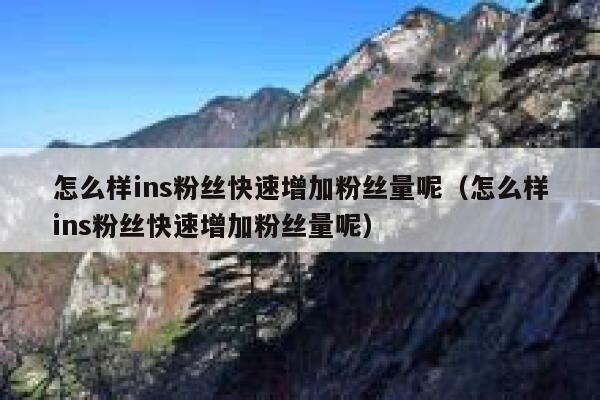 怎么样ins粉丝快速增加粉丝量呢（怎么样ins粉丝快速增加粉丝量呢） 第1张