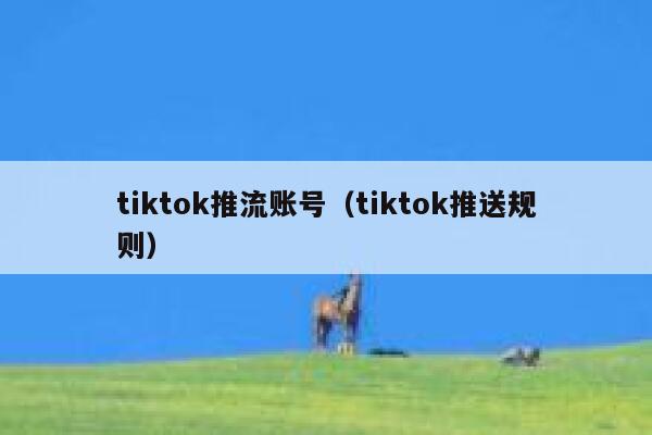 tiktok推流账号(tiktok推送规则) 第1张 tiktok推流账号(tiktok推送规则) 第1张