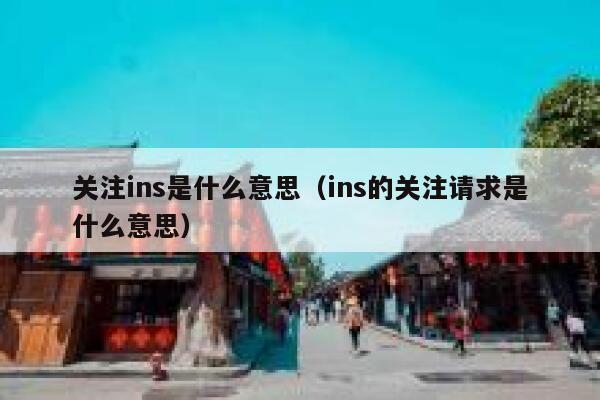 关注ins是什么意思（ins的关注请求是什么意思） 第1张