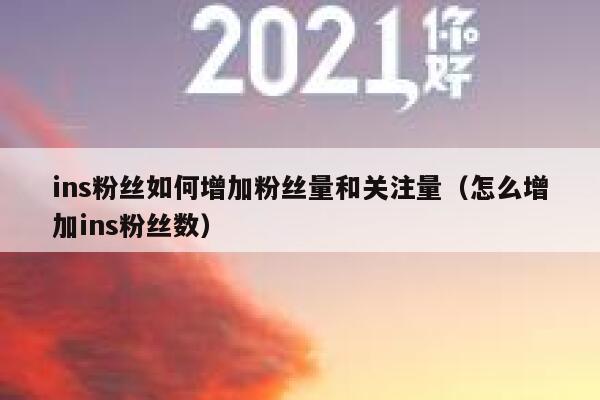 ins粉丝如何增加粉丝量和关注量(怎么增加ins粉丝数) 第1张 ins粉丝如何增加粉丝量和关注量(怎么增加ins粉丝数) 第1张