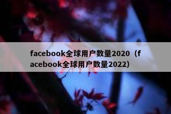 facebook全球用户数量2020(facebook全球用户数量2022) 第1张 facebook全球用户数量2020(facebook全球用户数量2022) 第1张