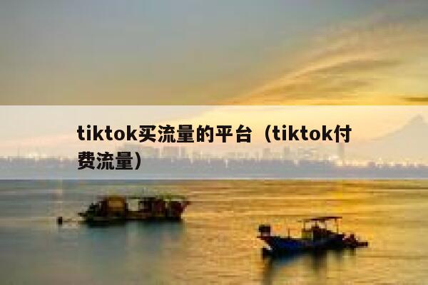 tiktok买流量的平台（tiktok付费流量） 第1张
