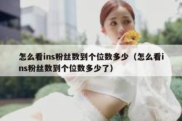 怎么看ins粉丝数到个位数多少（怎么看ins粉丝数到个位数多少了） 第1张
