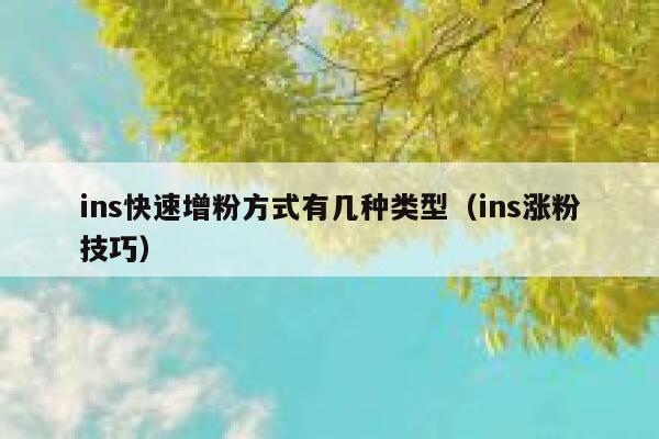 ins快速增粉方式有几种类型（ins涨粉技巧） 第1张