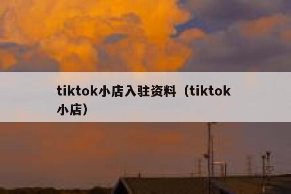 tiktok小店入驻资料(tiktok 小店) 第1张 tiktok小店入驻资料(tiktok 小店) 第1张