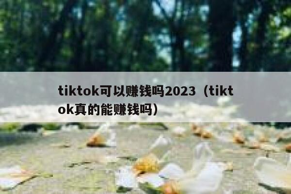 tiktok可以赚钱吗2023(tiktok真的能赚钱吗) 第1张 tiktok可以赚钱吗2023(tiktok真的能赚钱吗) 第1张