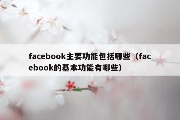 facebook主要功能包括哪些（facebook的基本功能有哪些） 第1张