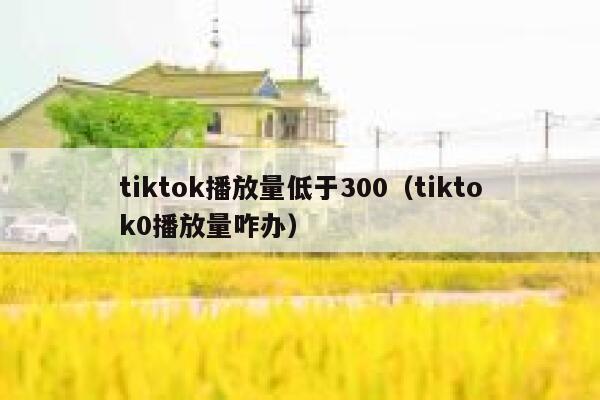 tiktok播放量低于300（tiktok0播放量咋办） 第1张