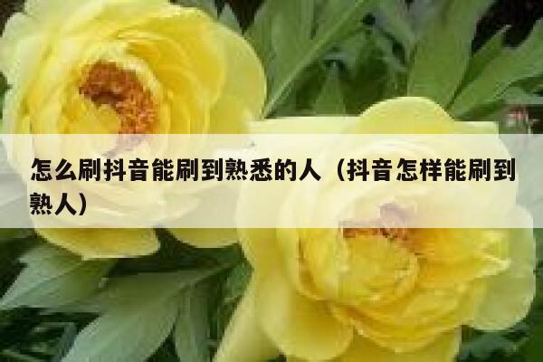 怎么刷抖音能刷到熟悉的人(抖音怎样能刷到熟人) 第1张 怎么刷抖音能刷到熟悉的人(抖音怎样能刷到熟人) 第1张