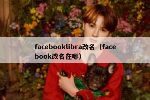 facebooklibra改名（facebook改名在哪） 第1张