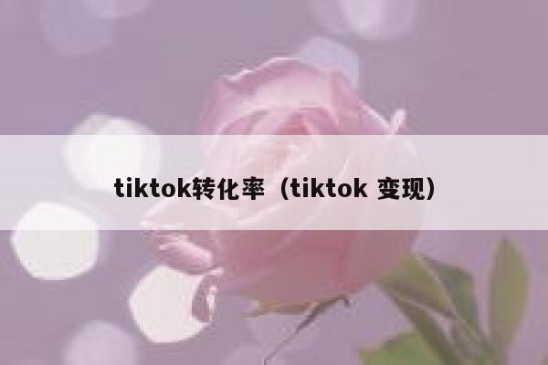 tiktok转化率（tiktok 变现） 第1张
