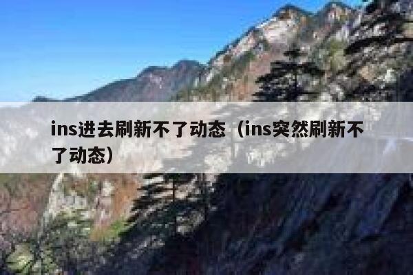 ins进去刷新不了动态（ins突然刷新不了动态） 第1张