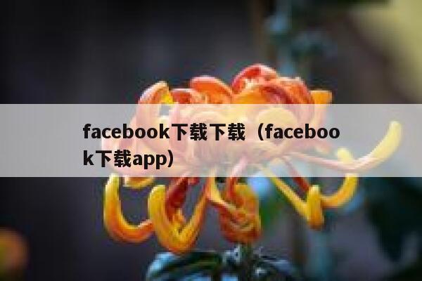 facebook下载下载（facebook下载app） 第1张