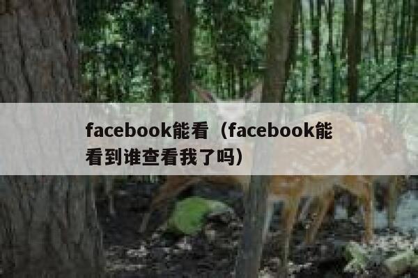 facebook能看（facebook能看到谁查看我了吗） 第1张