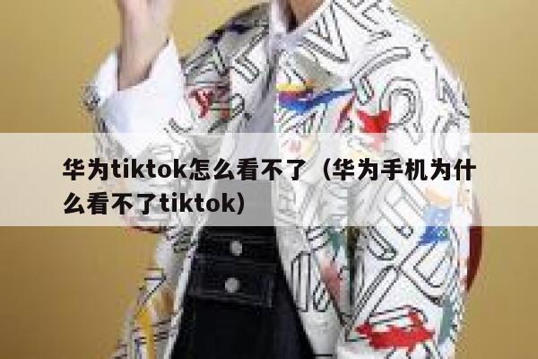 华为tiktok怎么看不了（华为手机为什么看不了tiktok） 第1张