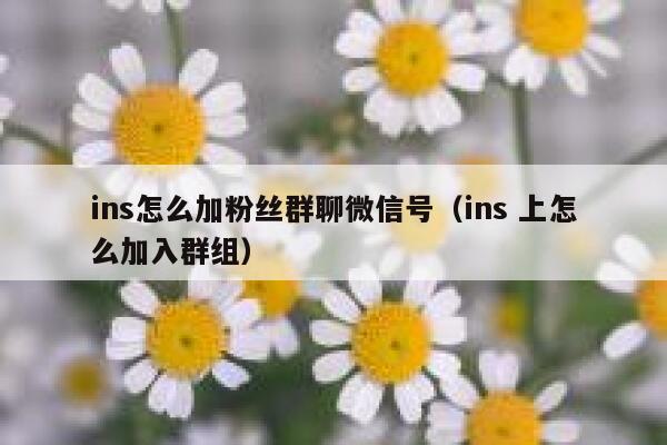 ins怎么加粉丝群聊微信号（ins 上怎么加入群组） 第1张
