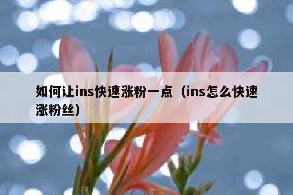 如何让ins快速涨粉一点（ins怎么快速涨粉丝） 第1张