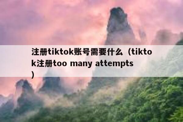 注册tiktok账号需要什么(tiktok注册too many attempts) 第1张 注册tiktok账号需要什么(tiktok注册too many attempts) 第1张