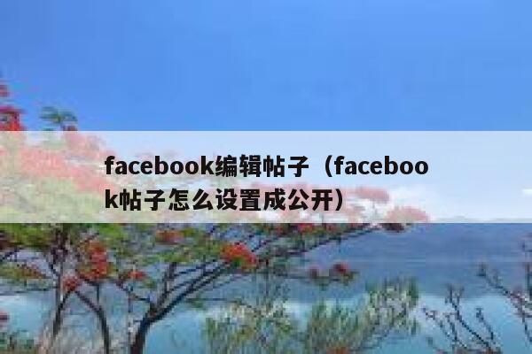 facebook编辑帖子(facebook帖子怎么设置成公开) 第1张 facebook编辑帖子(facebook帖子怎么设置成公开) 第1张