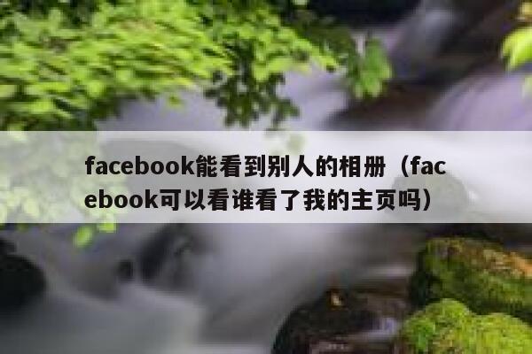 facebook能看到别人的相册（facebook可以看谁看了我的主页吗） 第1张