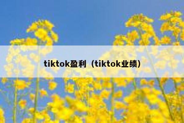 tiktok盈利（tiktok业绩） 第1张