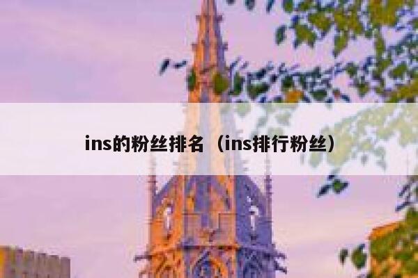 ins的粉丝排名（ins排行粉丝） 第1张