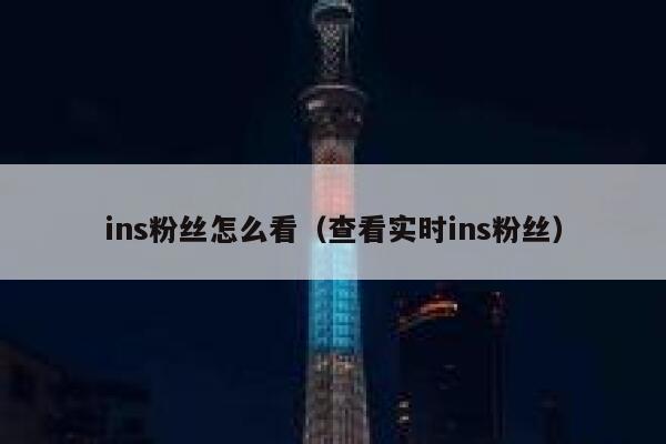 ins粉丝怎么看（查看实时ins粉丝） 第1张