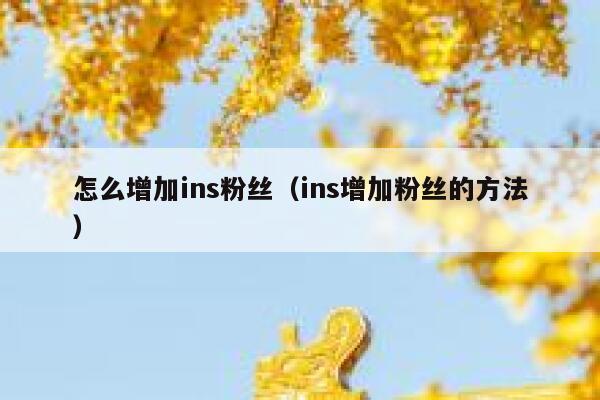 怎么增加ins粉丝（ins增加粉丝的方法） 第1张