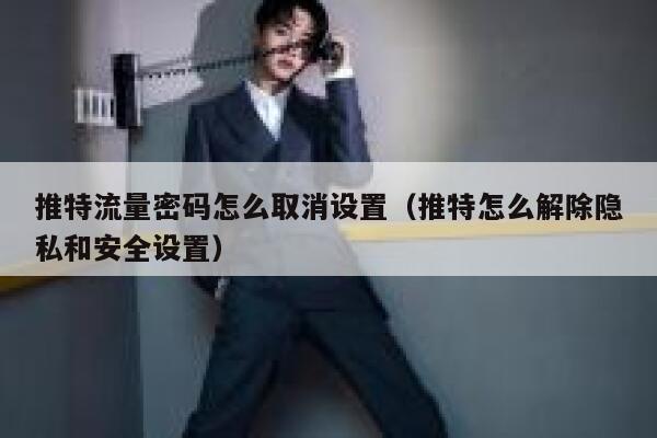 推特流量密码怎么取消设置(推特怎么解除隐私和安全设置) 第1张 推特流量密码怎么取消设置(推特怎么解除隐私和安全设置) 第1张