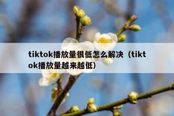 tiktok播放量很低怎么解决（tiktok播放量越来越低） 第1张