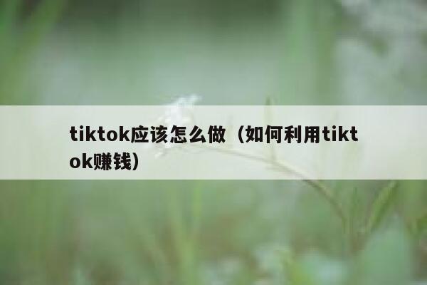 tiktok应该怎么做(如何利用tiktok赚钱) 第1张 tiktok应该怎么做(如何利用tiktok赚钱) 第1张