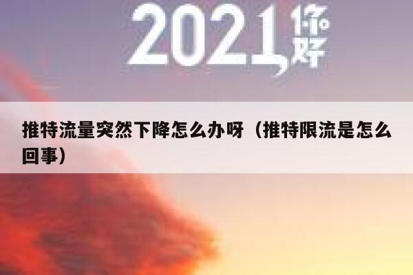 推特流量突然下降怎么办呀（推特限流是怎么回事） 第1张